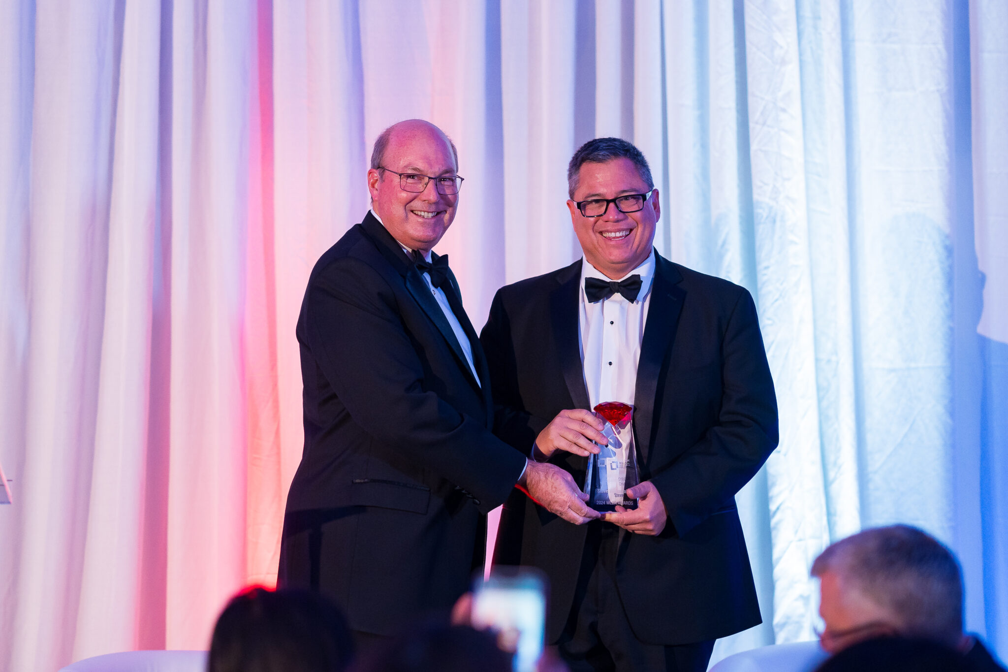 An award presented at the WLDA Gala — previous WLDA event